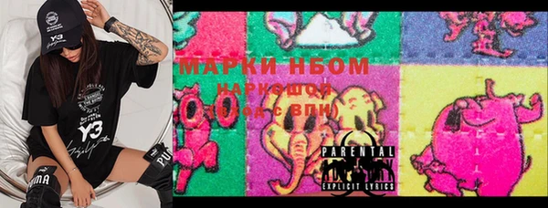 хмурый Алексин