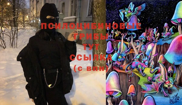 спиды Алзамай