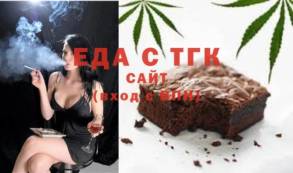 хмурый Алексин