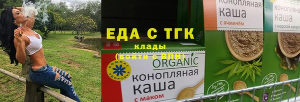 хмурый Алексин
