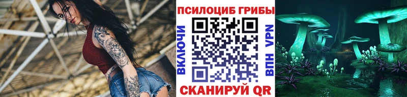 Псилоцибиновые грибы мухоморы  маркетплейс как зайти  Данилов 